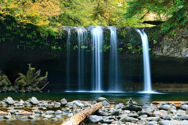 Wide forest waterfall flowing into a green pool above smooth river stones